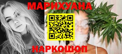 прущие грибы Будённовск