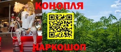 прущие грибы Будённовск
