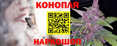 прущие грибы Будённовск