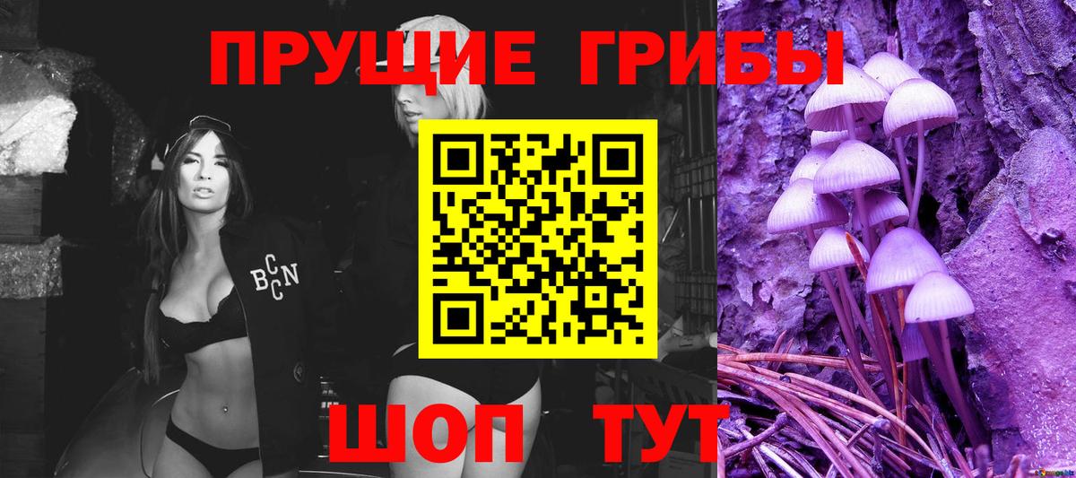 Ногинск  Галлюциногенные грибы Magic Shrooms  Вход с VPN 